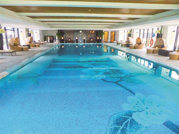 游泳池水泵廠家,泳池水泵廠家,游泳池水泵