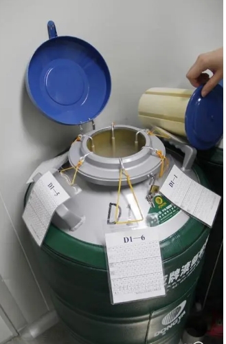 東亞牌液氮罐 東亞牌液氮罐